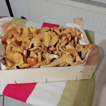 Maedi Апартаменты Windeck