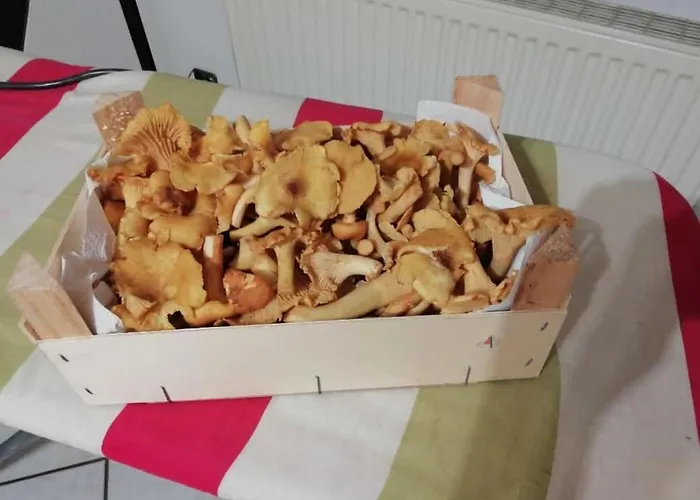 Maedi Апартаменты Windeck